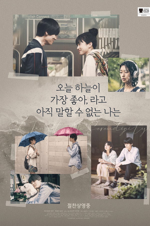 오늘 하늘이 가장 좋아, 라고 아직 말할 수 없는 나는