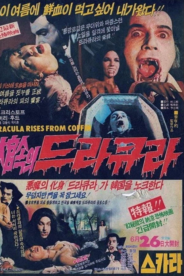 관속의 드라큐라