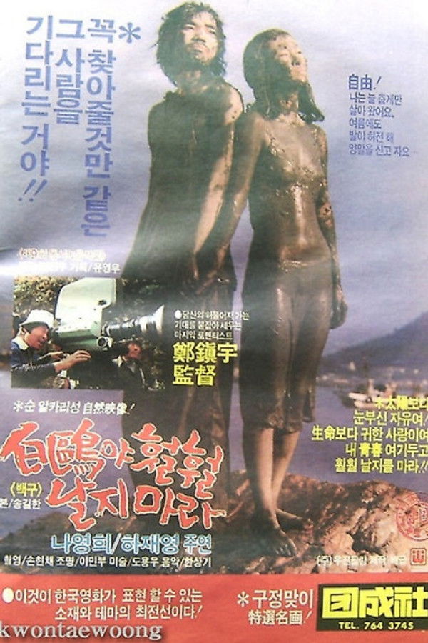 백구야 훨훨 날지마라