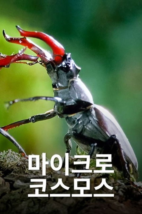 마이크로 코스모스 